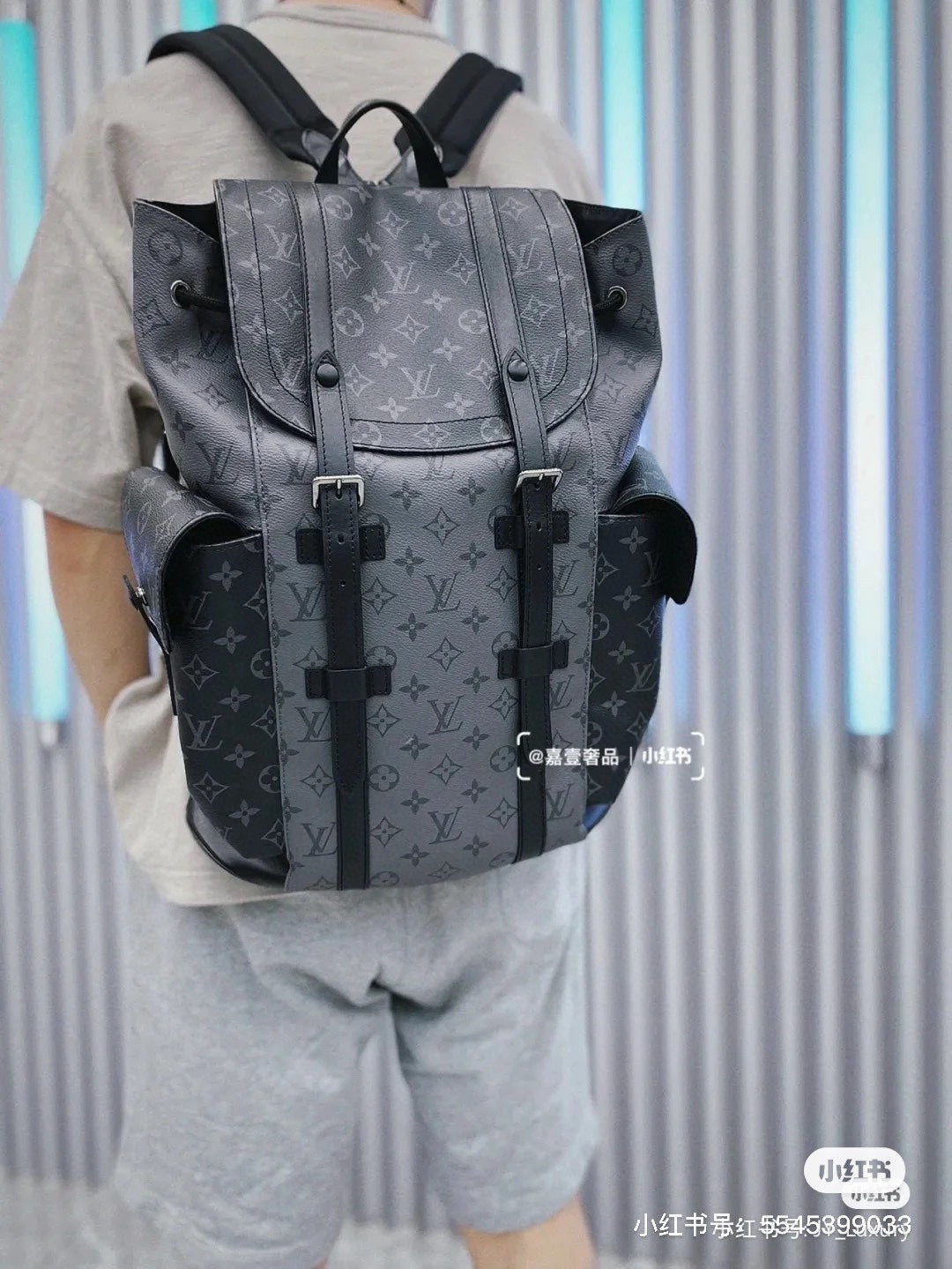 Louis vuitton handbags Backpack