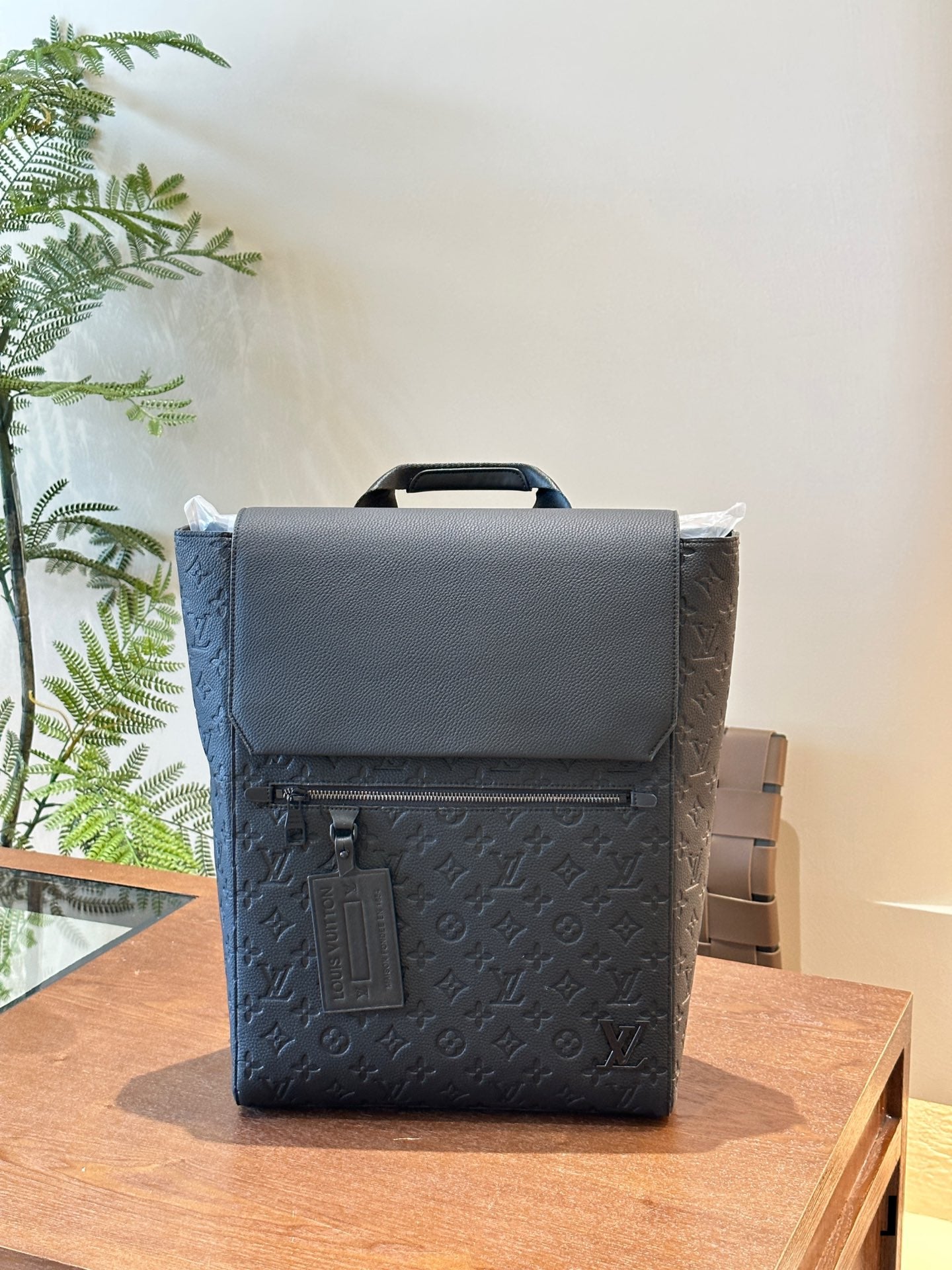 Louis vuitton handbags Backpack