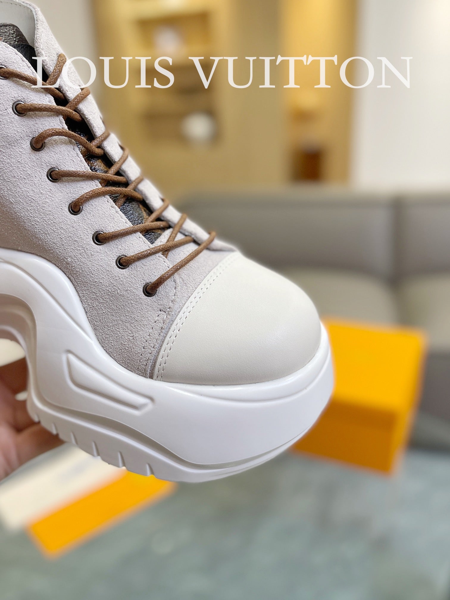 Louis Vuitton Sneakers