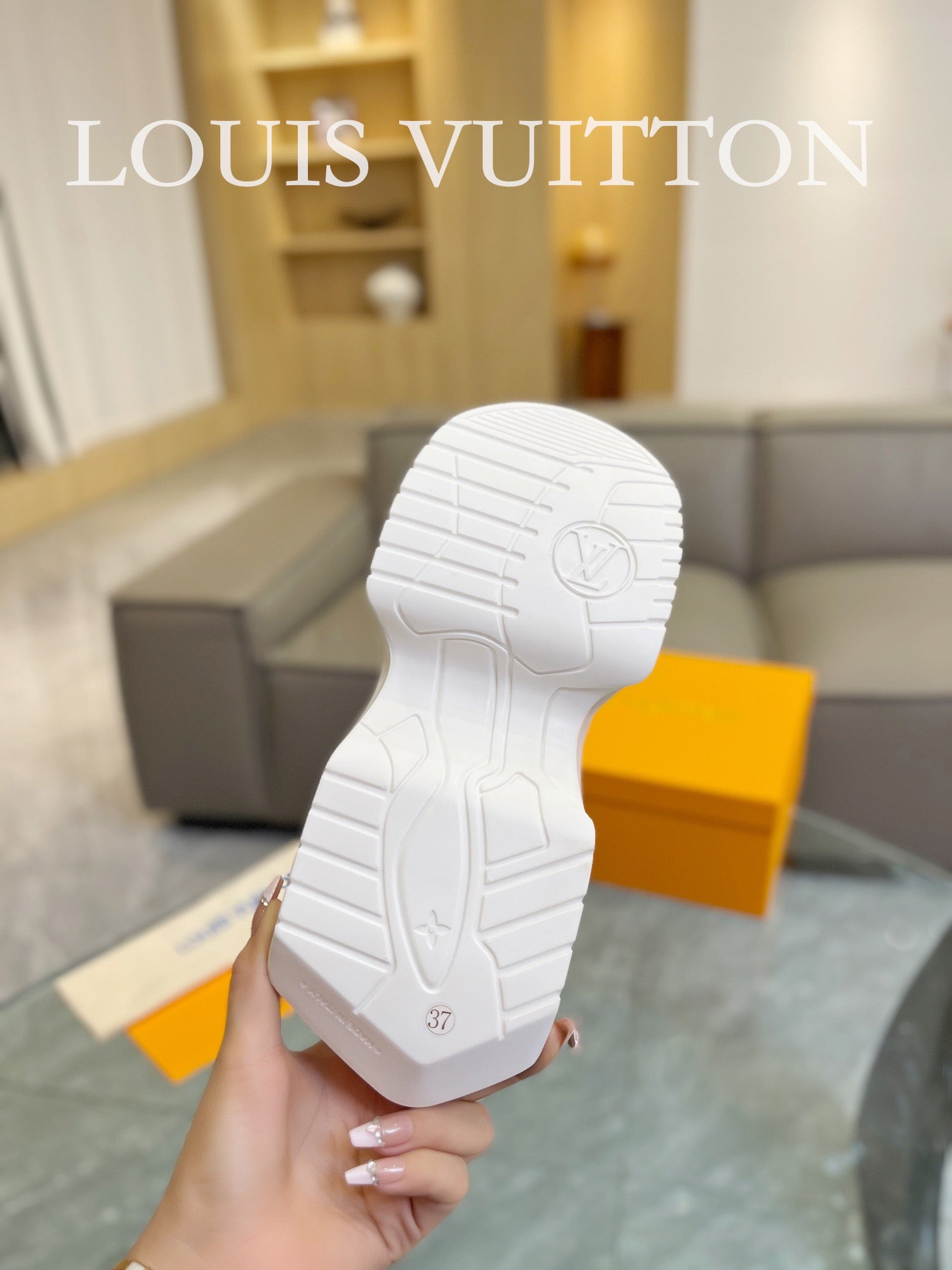 Louis Vuitton Sneakers