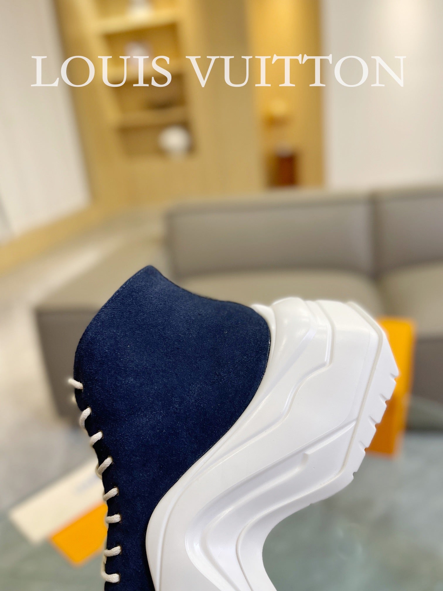 Louis Vuitton Sneakers