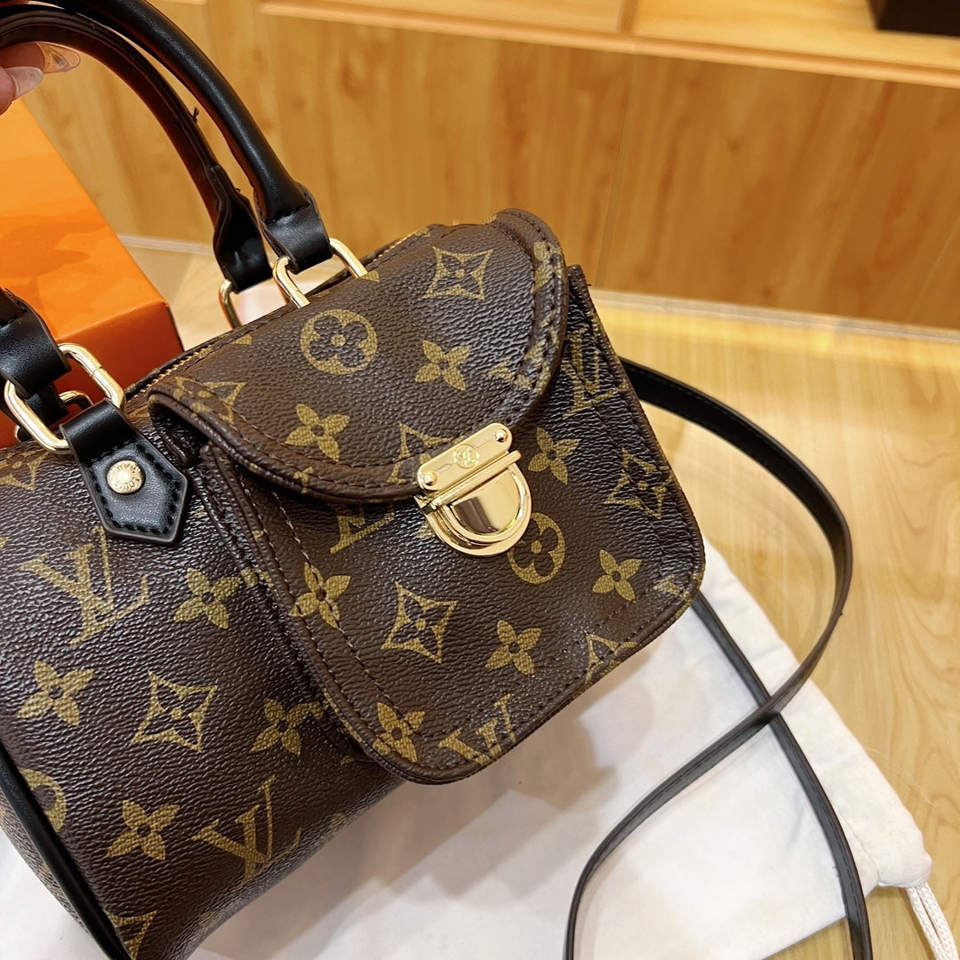 Louis Vuitton handbags