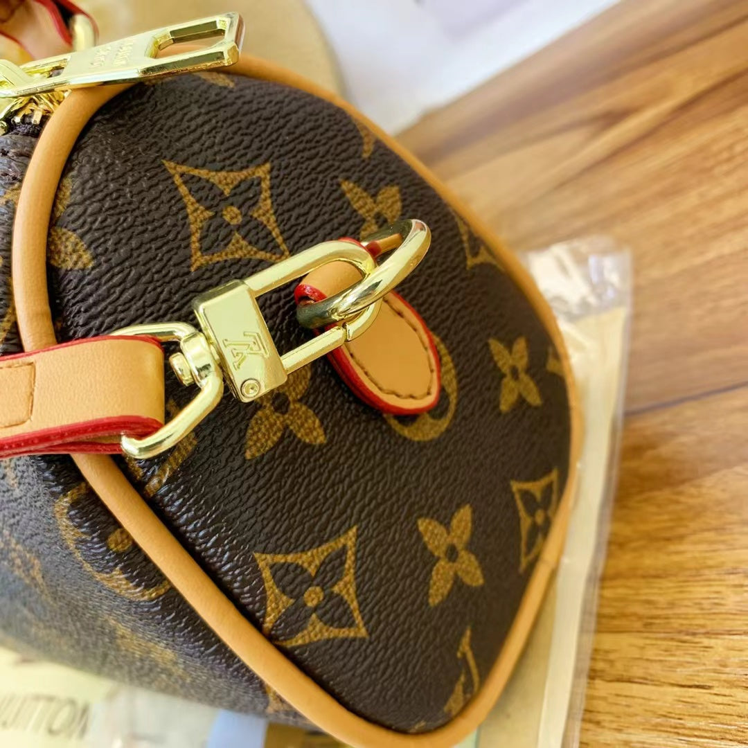 Louis Vuitton handbags