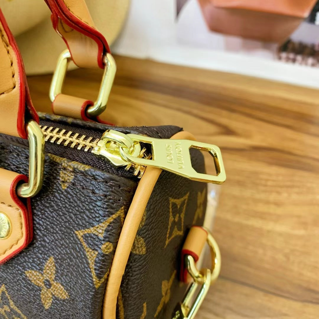 Louis Vuitton handbags