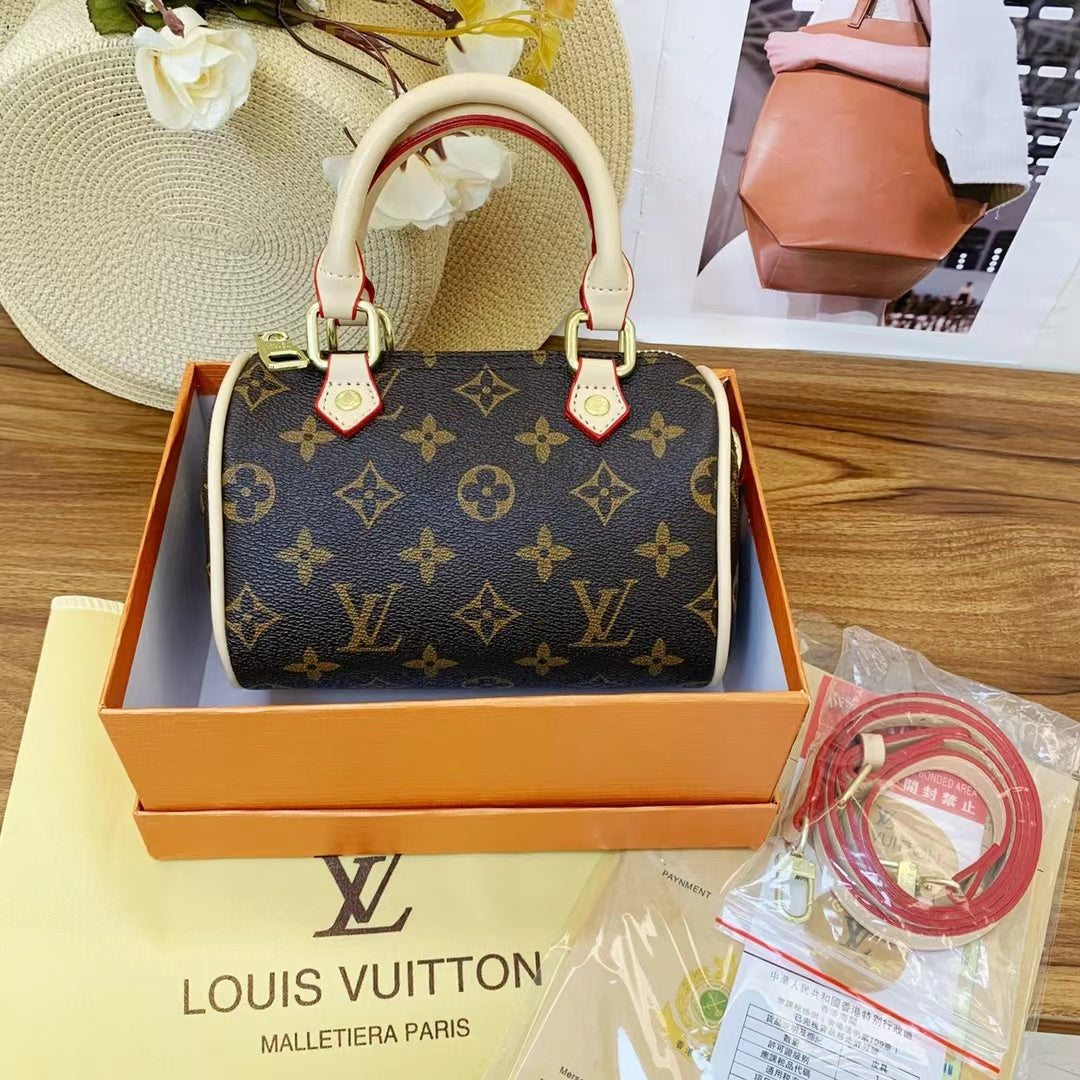 Louis Vuitton handbags