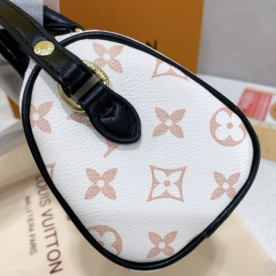 Louis Vuitton handbags