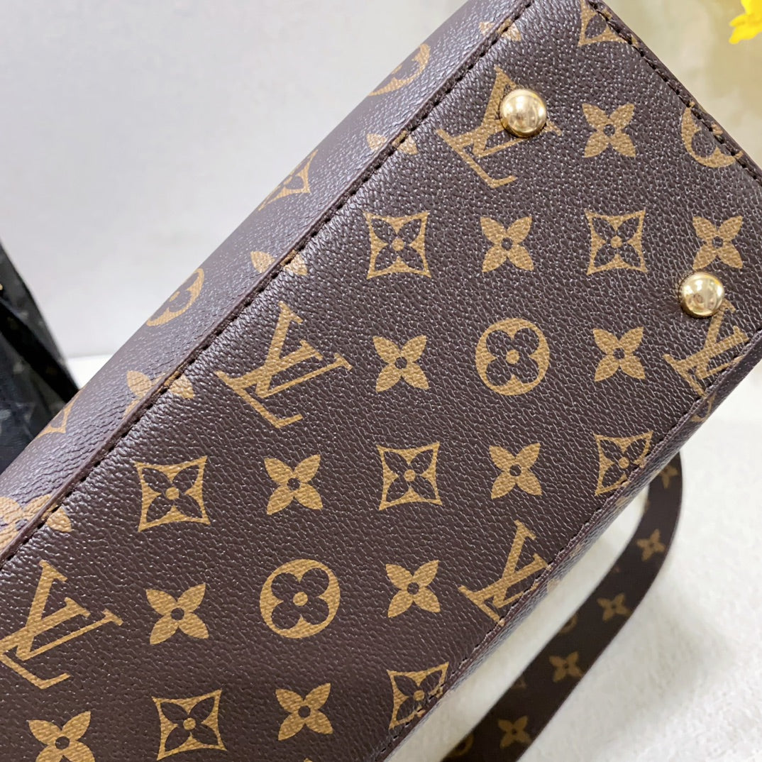 Louis Vuitton handbags