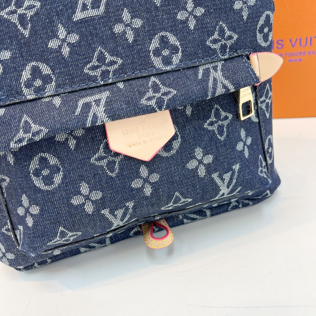 Louis Vuitton handbags (Backpack )