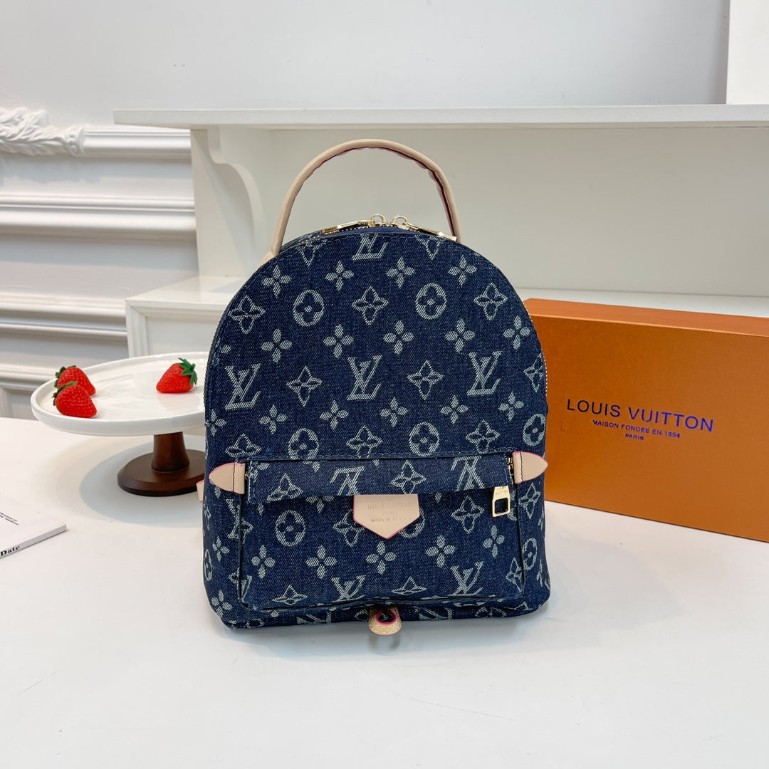 Louis Vuitton handbags (Backpack )