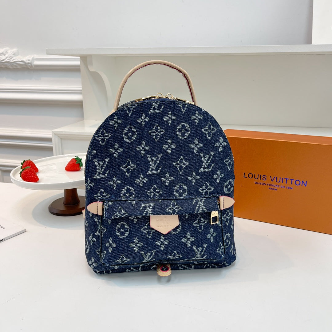 Louis Vuitton handbags (Backpack )