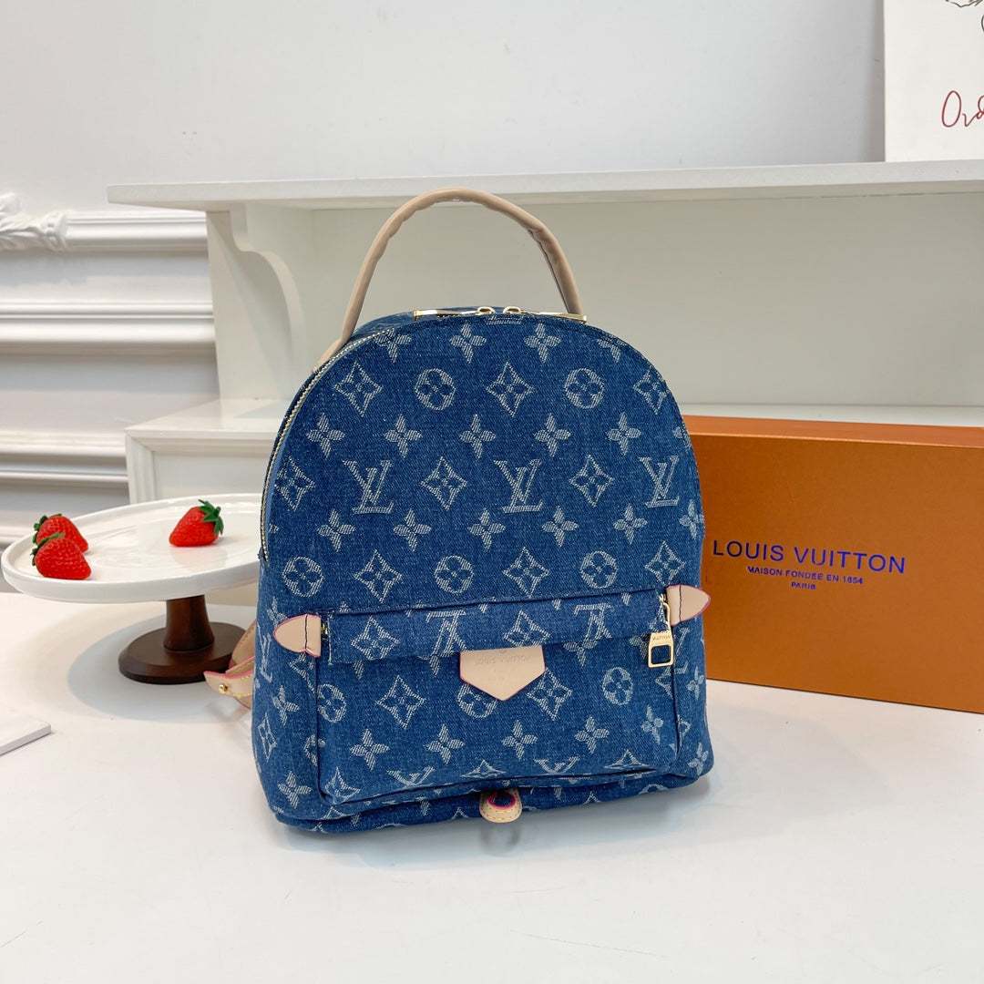 Louis Vuitton handbags (Backpack )