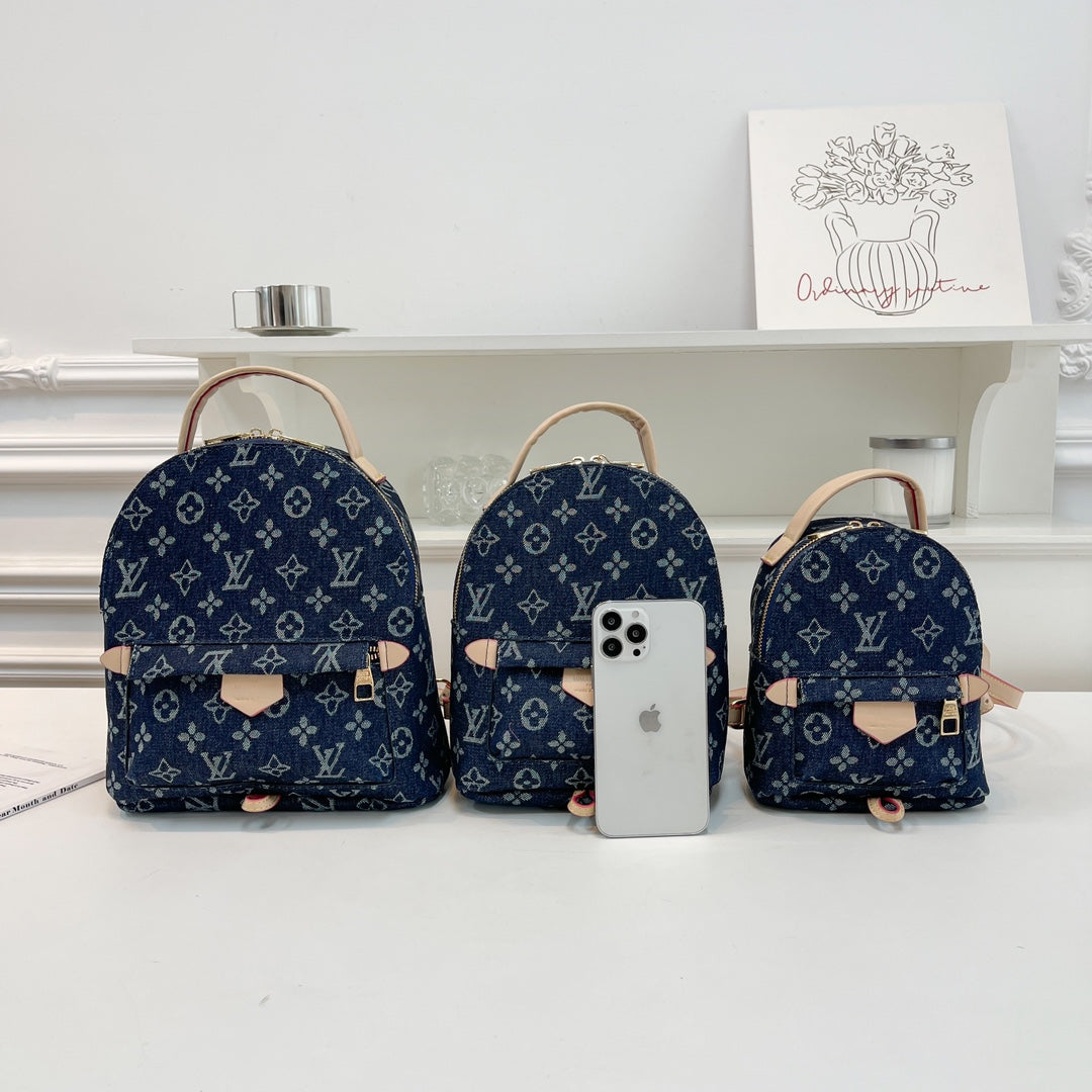 Louis Vuitton handbags (Backpack )