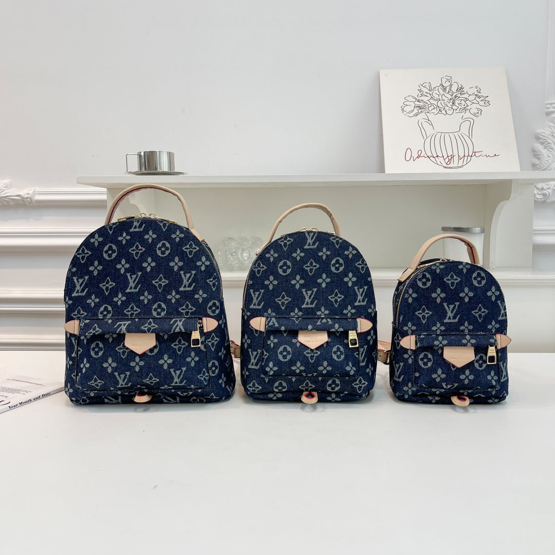 Louis Vuitton handbags (Backpack )