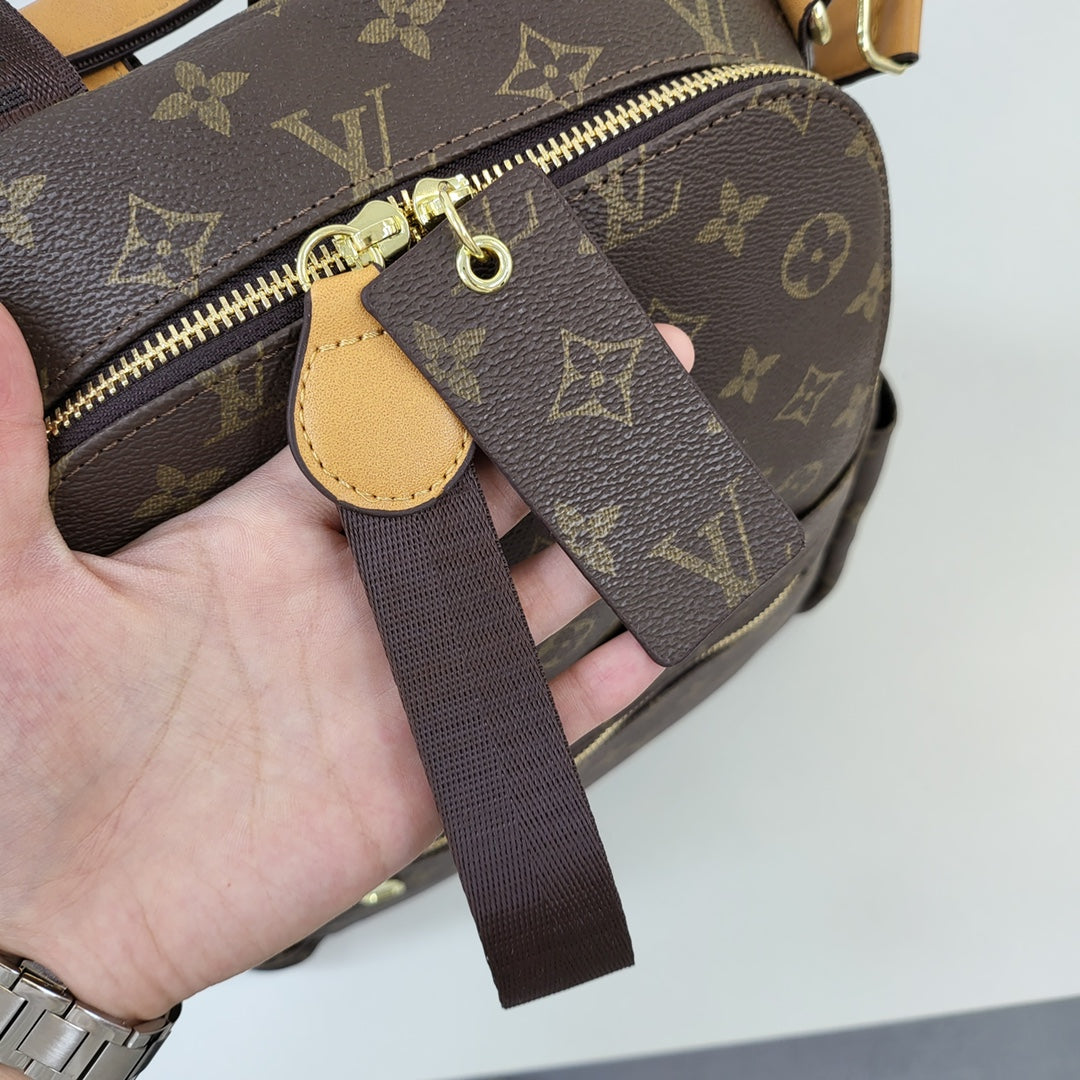 Louis Vuitton / Gucci handbags ( backpack)