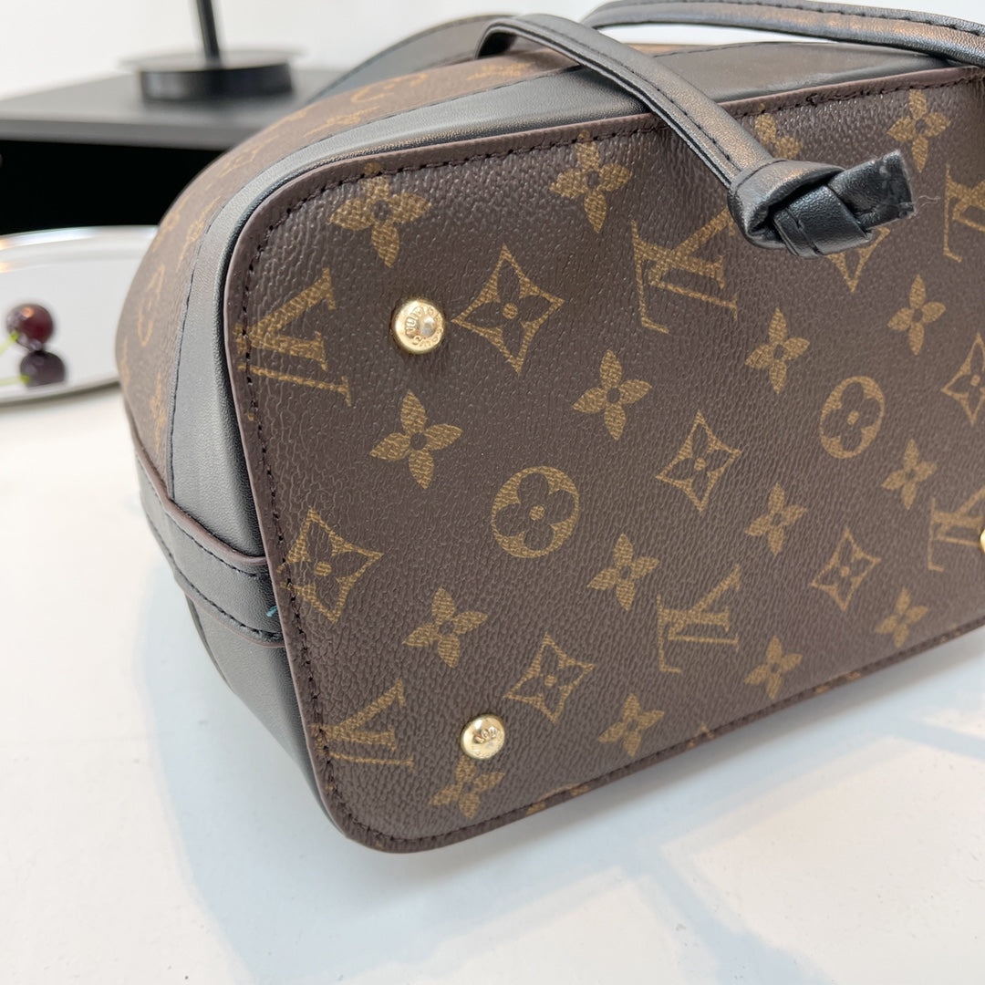 Louis Vuitton handbags