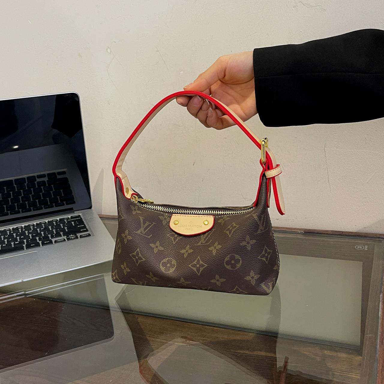 Louis Vuitton handbags