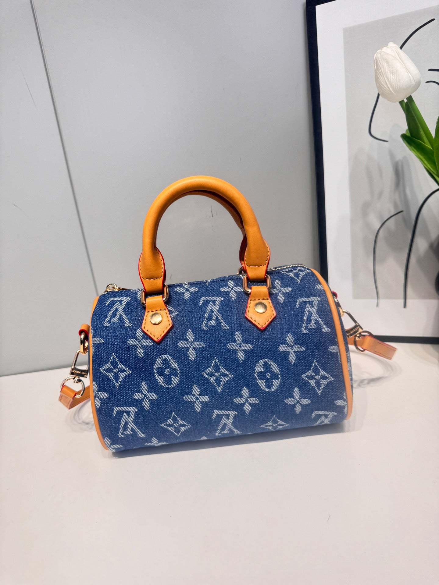 Louis Vuitton handbags