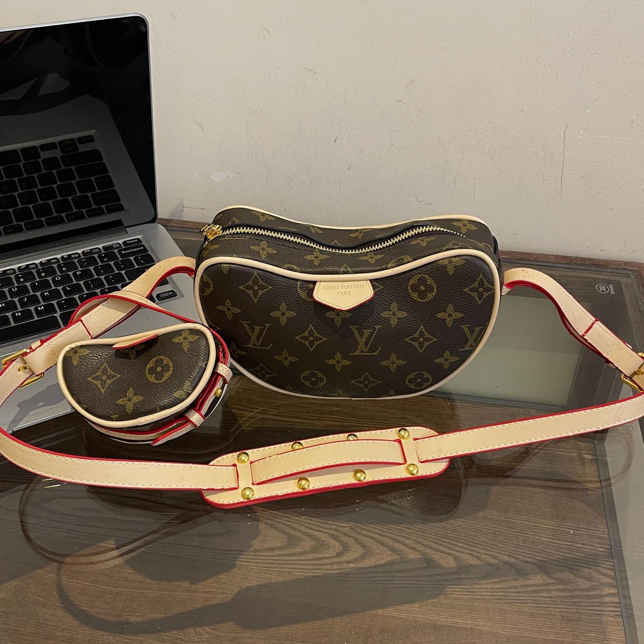 Louis Vuitton handbags